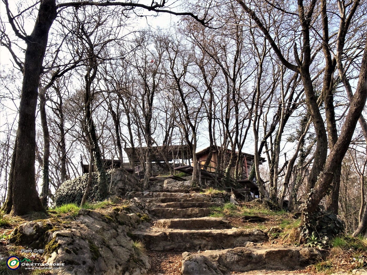 53 Sentiero adornato da carpini neri ben cresciuti in cresta di vetta del Monte Ubione.JPG
